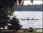 Photo of waterfront scene